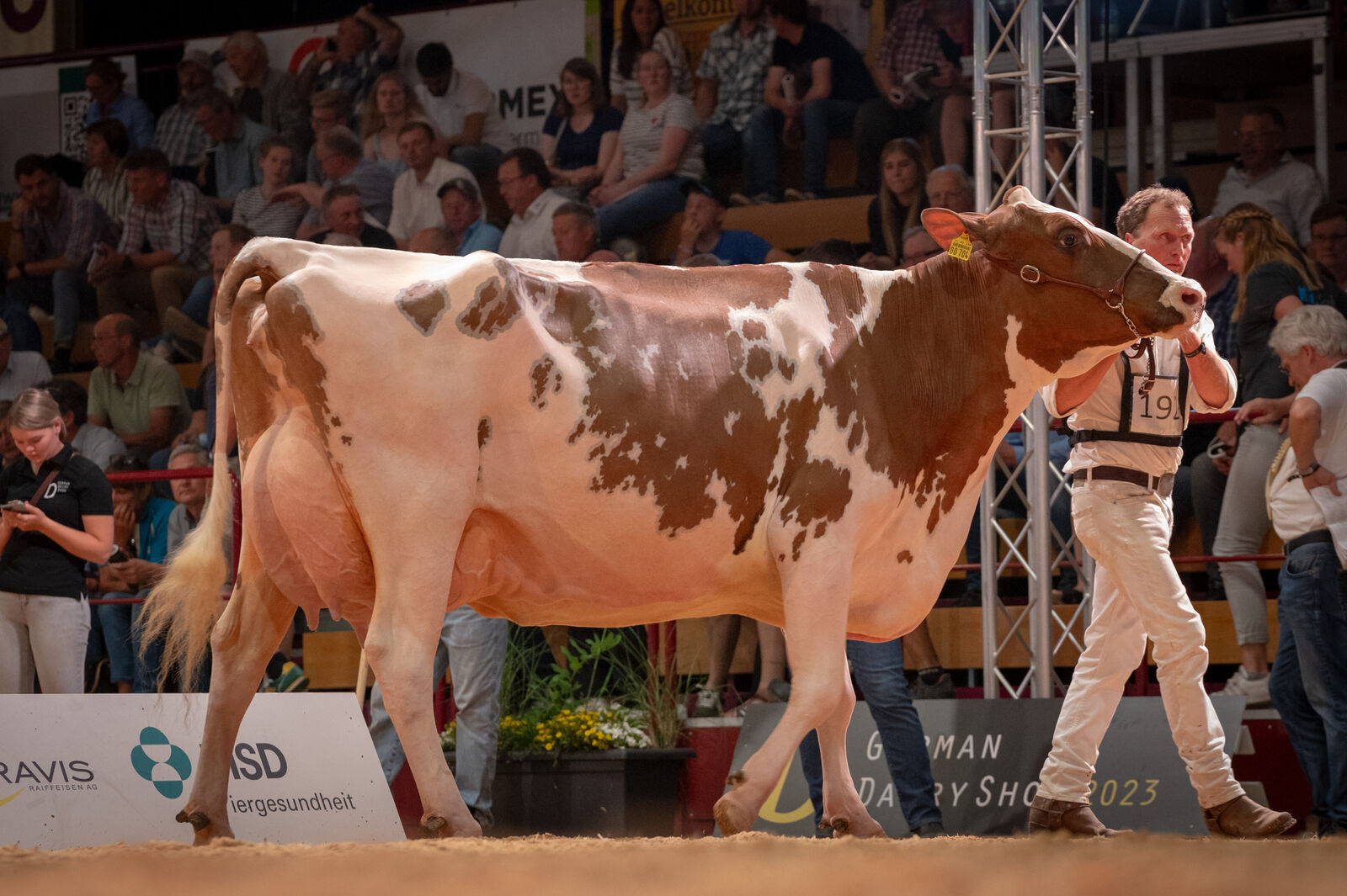 Red Holstein Lebensleistungsklasse: WIT Alina von Thomas Wiethege