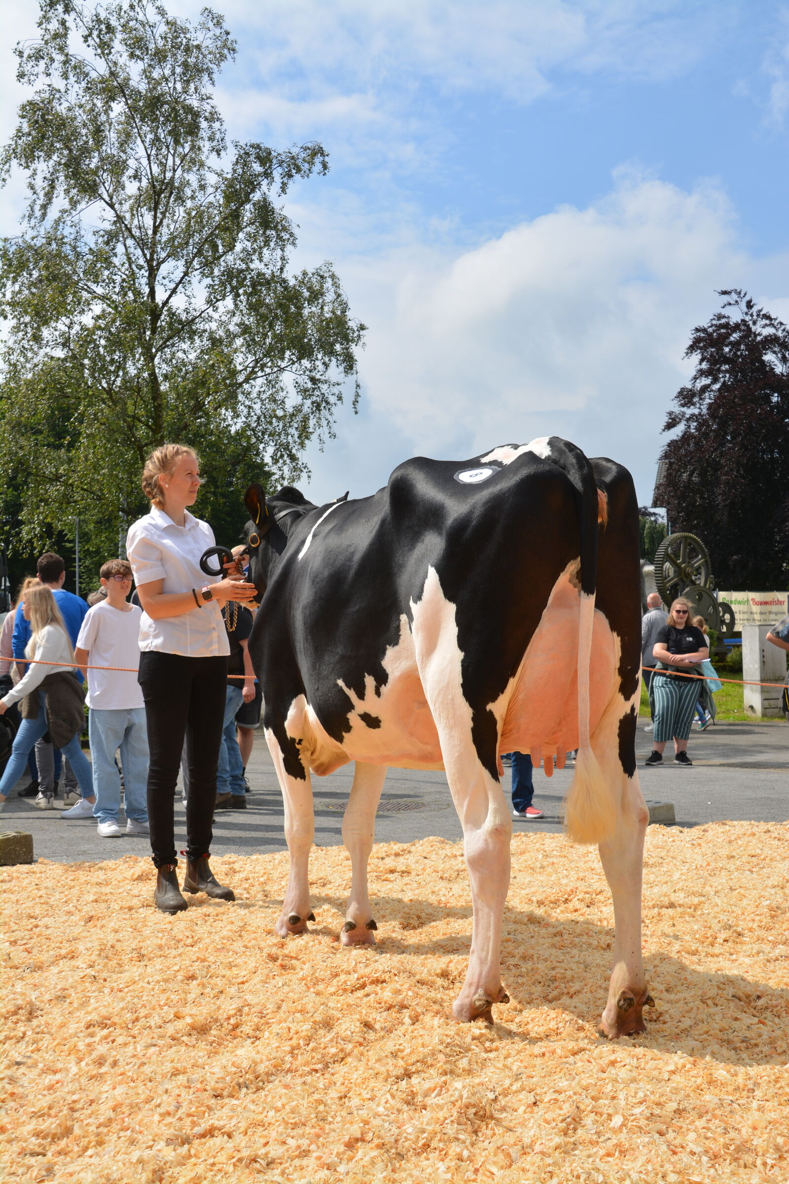 Eine beeindruckende Färse ist die HIGHWAY-Tochter Stall Nr. 57 aus der Zuchtstätte Born
