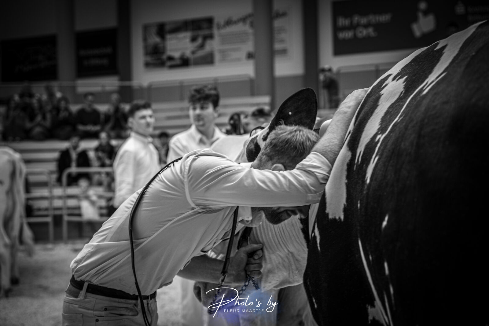 Was für ein emotionaler Moment für Matthias Zielenbach und seine Kuh ZFZ Give Me Lu nach Wahl zum Grand Champion, den die Fotografin Fleur Maartje Bakker eingefangen hat. 