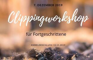 Clippingworkshop_fuer_Fortgeschrittene.jpg