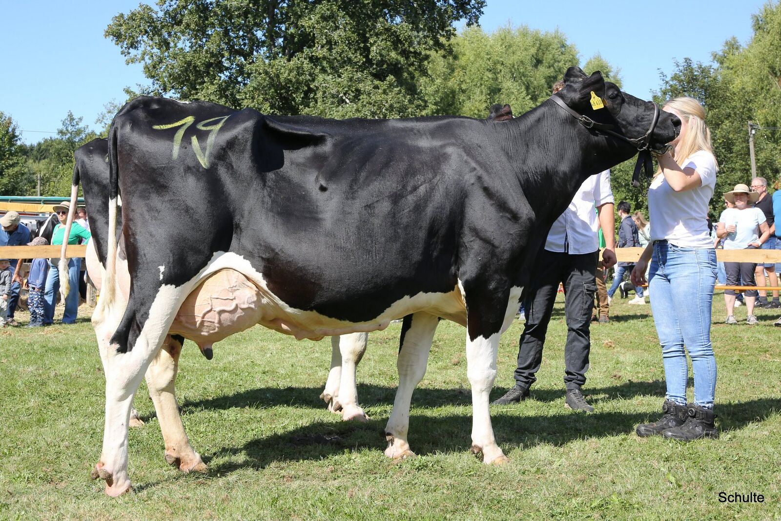 Reserve Siegerkuh Alt Kalea v Brilliance von Willems & Wollschied GbR 