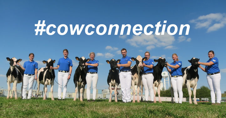 Cowconnection.jpg
