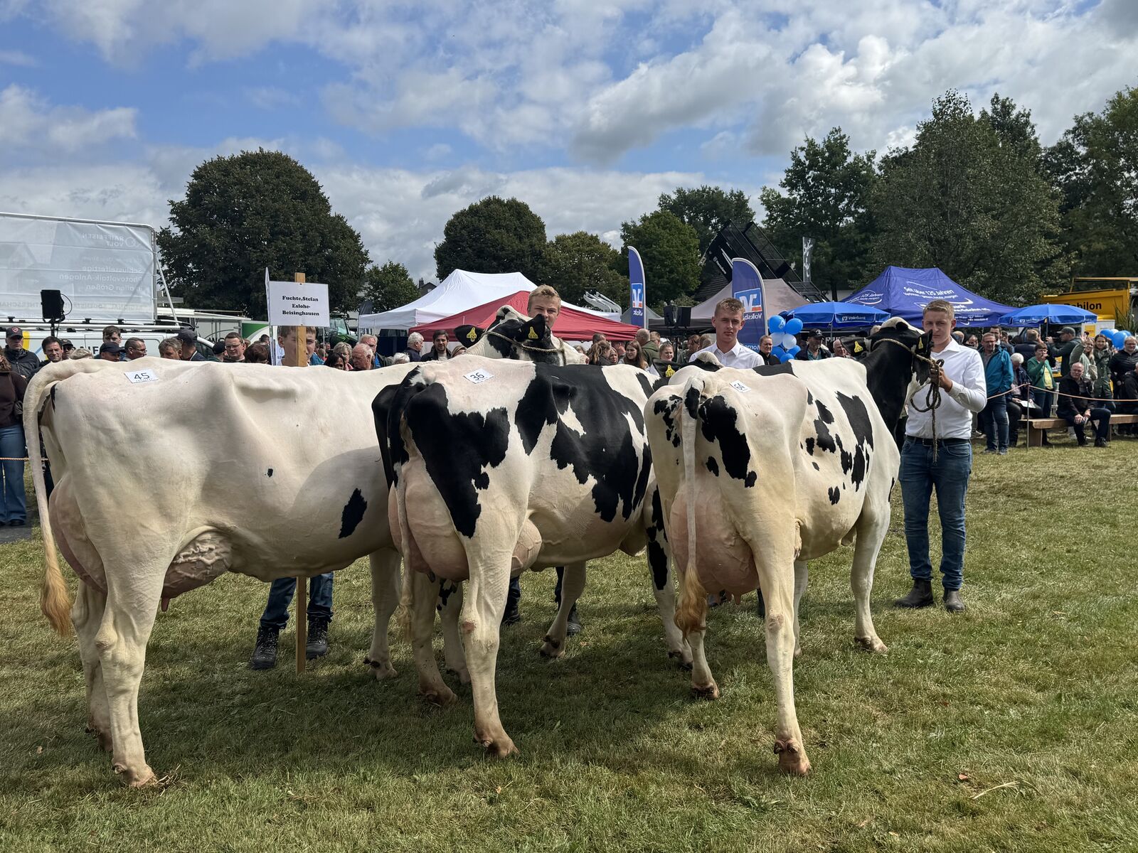 Sieger Betriebssammlung von Stefan Fuchte