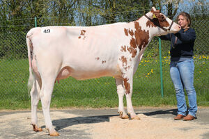 AV_Fliessem_19-04_Kat-Nr_49_Agent-Tochter_Thomas_Wiethege__Halver_2100_EUR_Kaeufer_Luxemburg_1.JPG