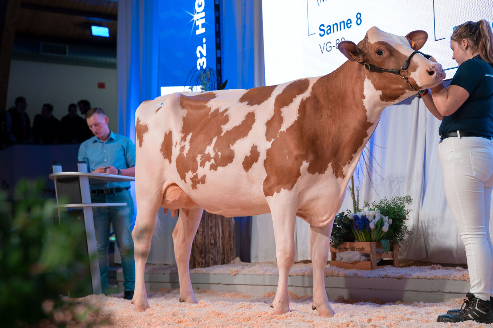 Serena Red präsentierte sich schaufertig auf der Bühne und lässt keinen Wunsch an eine absolute Topfärse offen. Mit dem herausragenden Spitzenpreis von 9.800 € lässt sich der neue Besitzer das Angebot nicht entgehen. 