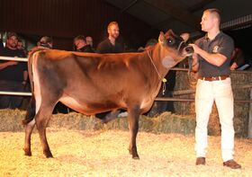 Avonlea ASKN Crunchie, eine ASKN-Tochter