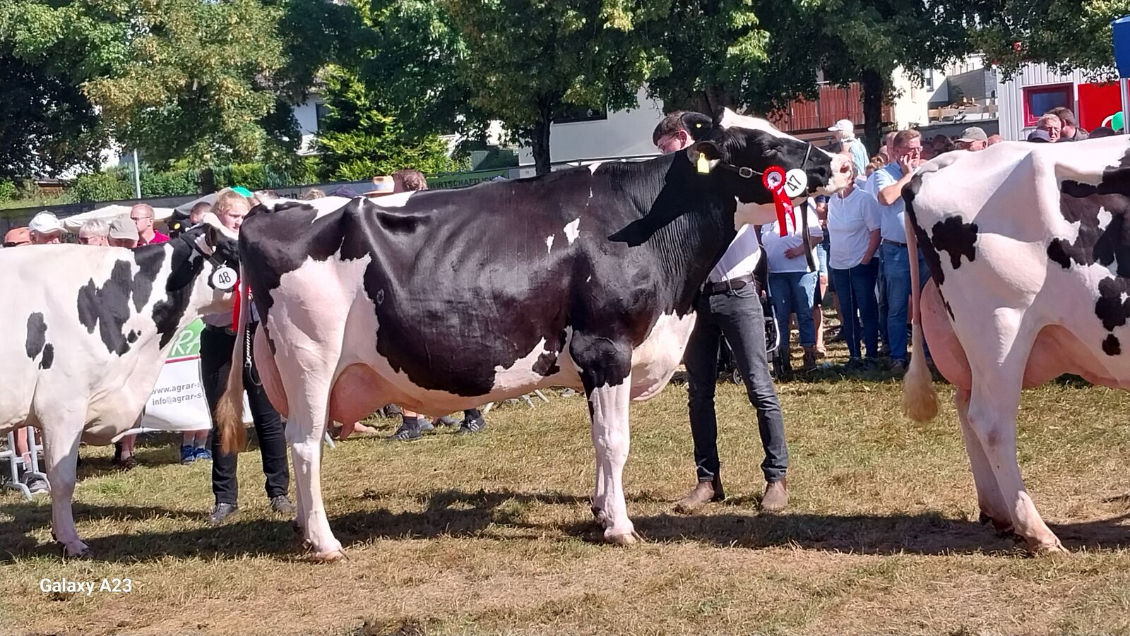 Reserve Alt: WIT Tamina – Thomas Wiethege, Halver