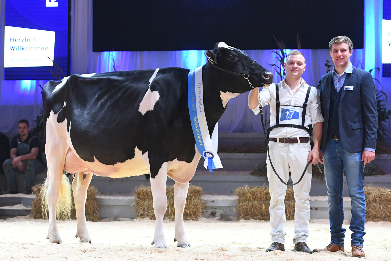 Reservesieger SBT - mittel: <br />
Seerose v. Montross <br />
Bes.: Köster KG, Steinfurt