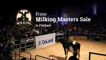 Milking-Master_Sale_HP.jpg