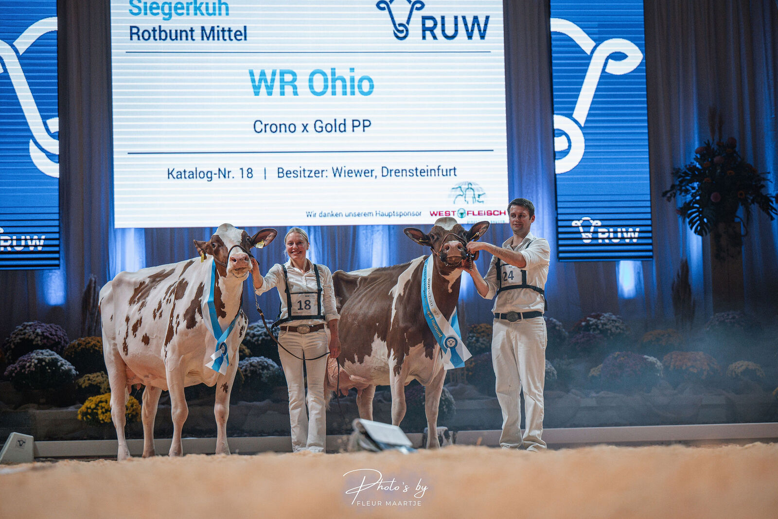 In den mittleren rotbunten Kuhklassen triumphierte die überaus korrekte und typvolle WR Ohio von Leonie Wiewer. Ohio ist eine Tochter des selbstgezogener Crown-Red-Sohn aus der bekannten WR Minnessota. Sie sicherte sich den Sieg vor der euterstarken Redeye-Tochter Marina von Hugo Berners aus Simmerath.