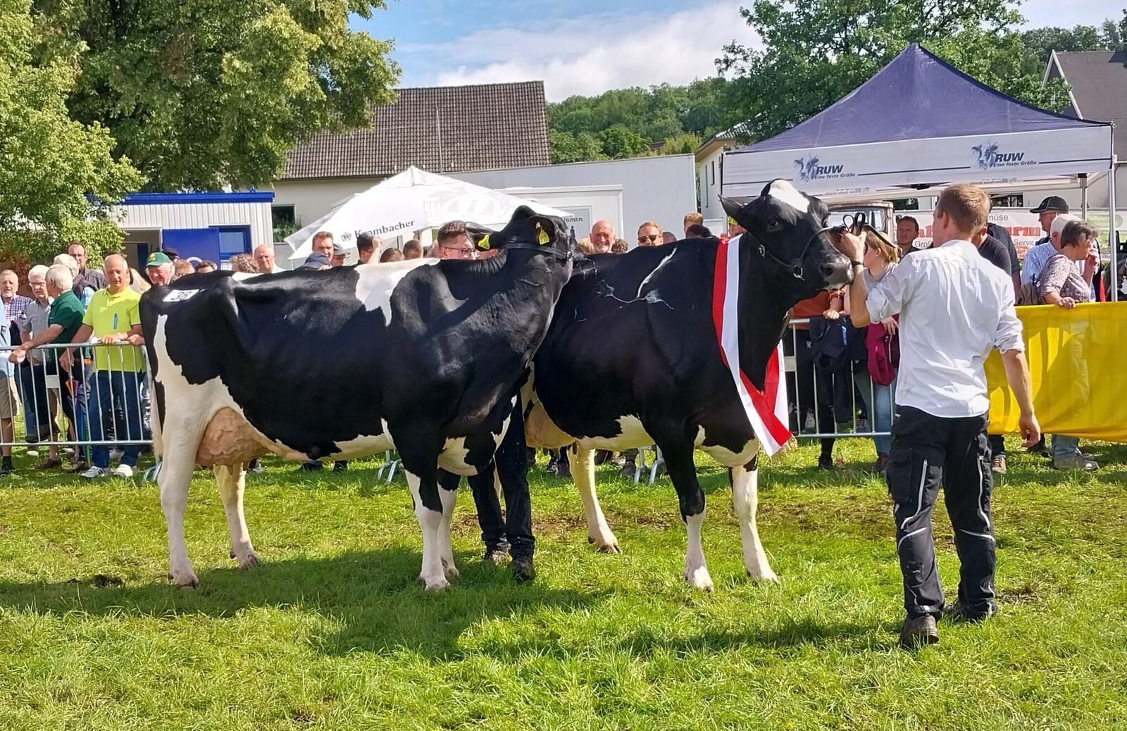 Was für ein toller züchterischer Erfolg für die Voß-Burbecke GbR aus Lennestadt. Siegerin und Reservesiegerin der mittleren Klassen wurden die Diamondback-Tochter Adelia (r.) und ihre Stallgefährtin die Reflector-Tochter Tritops.