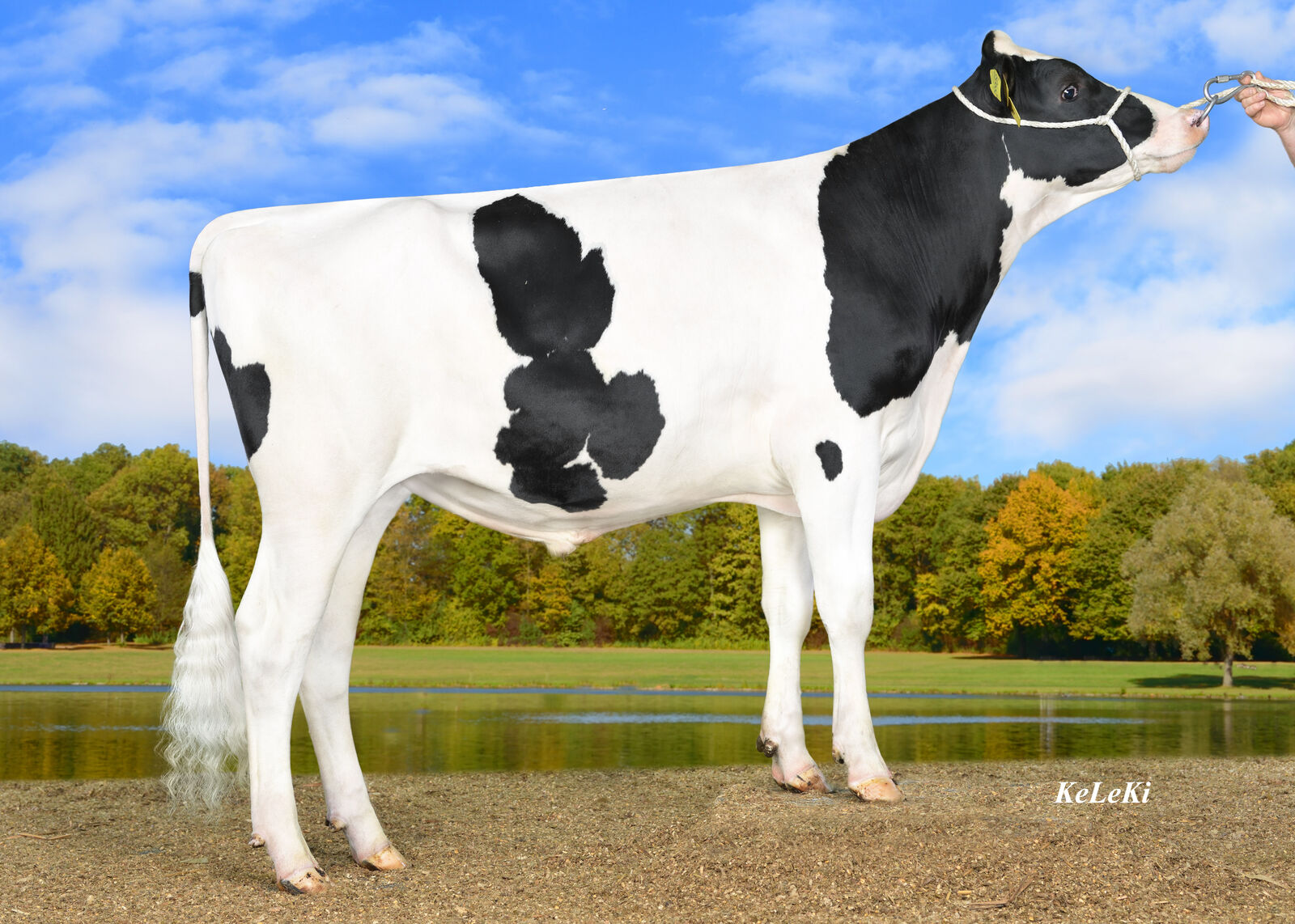 Sondermanns SOUNDTRACK