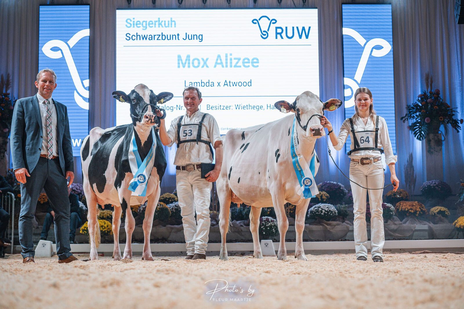 Die jüngste der drei schwarzbunten Färsen setzte sich an die Spitze: Mox Alyzee, eine Lambda-Tochter von Thomas Wiethege, überzeugte mit offener Rippe, Länge und Stil, gefolgt von der SBH Armyly von Friedrich Köster.