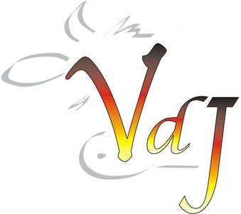 vdj-logo-mit-kuh-ohne-schriftzug-2008.jpg