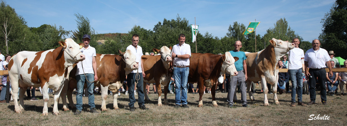 Klasse 3 Fleckvieh mit Preisrichter Werner Hauck