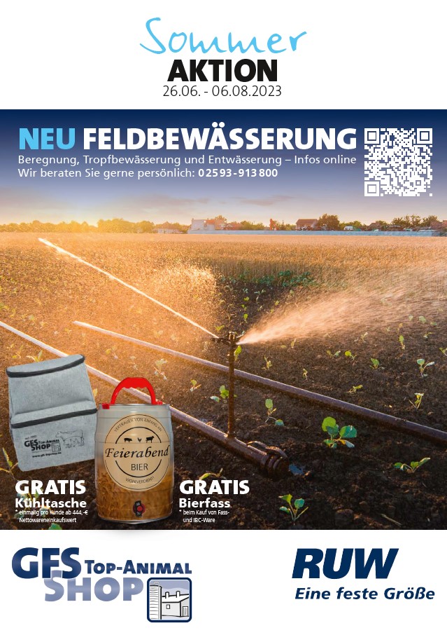 Sommeraktion_Rind_2023.jpg