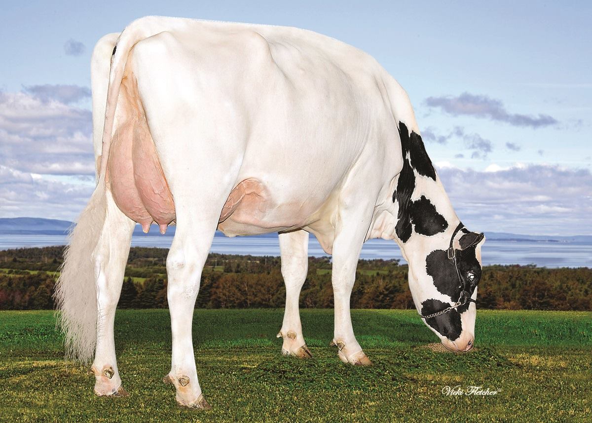 MMM: IHG Mardi Sens 9017 EX-90